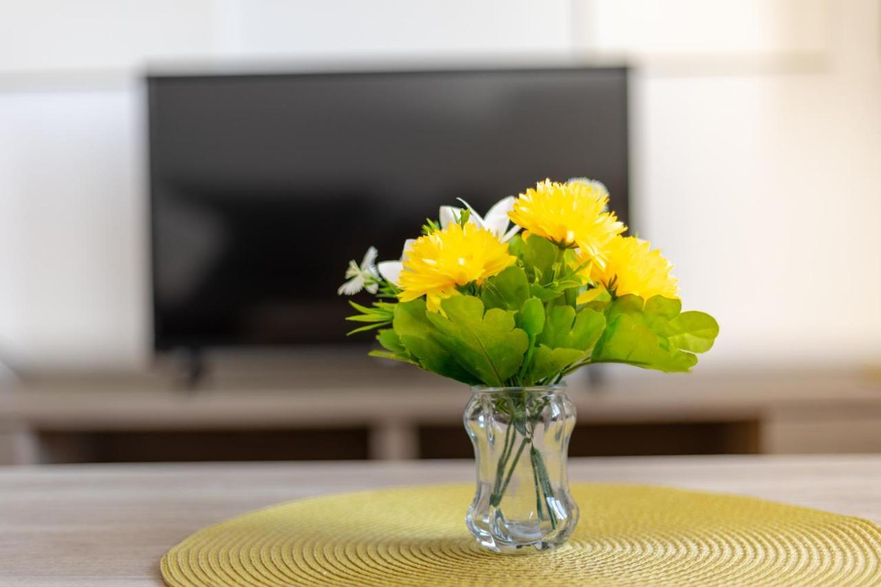 Apartments Villa Maja โรกอซนิซา ภายนอก รูปภาพ